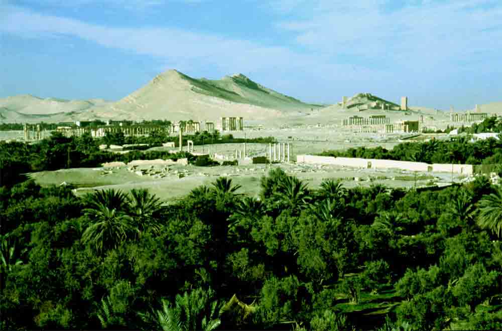 15 - Siria - Palmira, oasis